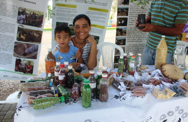 thumbnail de Agricultores do Projeto Jucati Sustentável se destacam em Feira de Sementes Crioulas