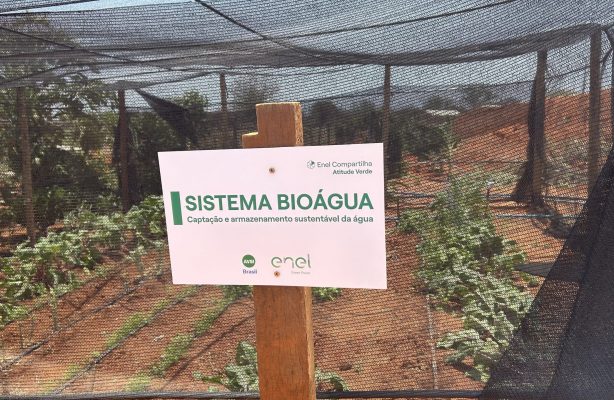 thumbnail de Inovação no Semiárido: Sistema Bioágua Familiar impulsiona agricultura em Ourolândia (BA)