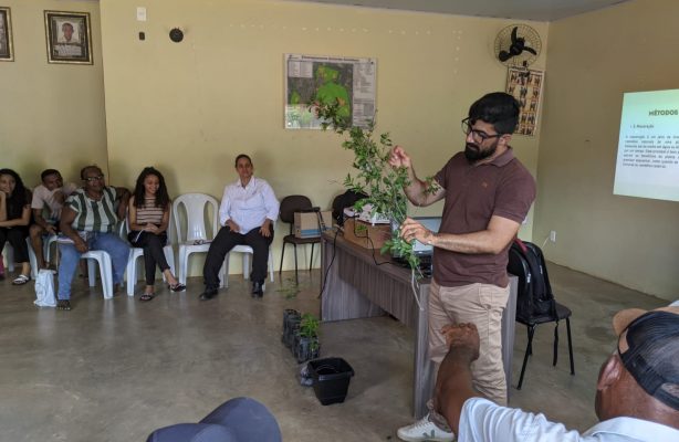 thumbnail de Oficina de Medicina Tradicional resgata saberes e fortalece o uso de plantas medicinais em comunidade quilombola no Piauí