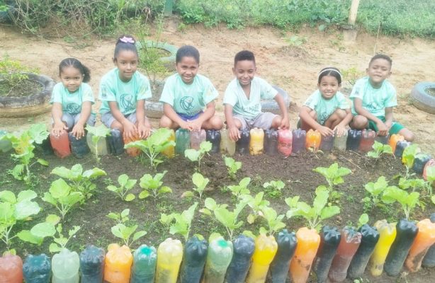thumbnail de Crianças aprendem o valor do agricultor por meio de atividades lúdicas no Programa Ciranda Educativa