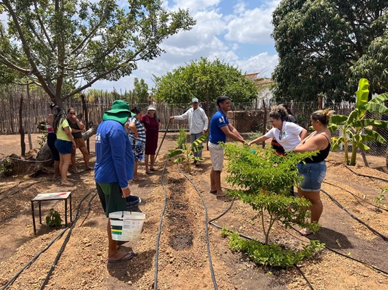 thumbnail de Programa Viva Sabiá leva oficina de Bioágua e agroecologia a agricultores de Upanema - RN
