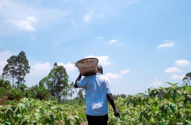 thumbnail de AVSI na COP30