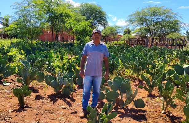 thumbnail de Assessoria Técnica Rural fortalece produção agrícola e segue gerando resultados após conclusão das atividades