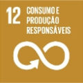 12 Consumo e produção responsáveis