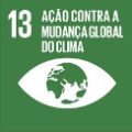 13 Ação contra a mundaça global do clima