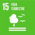 15 Vida Terrestre