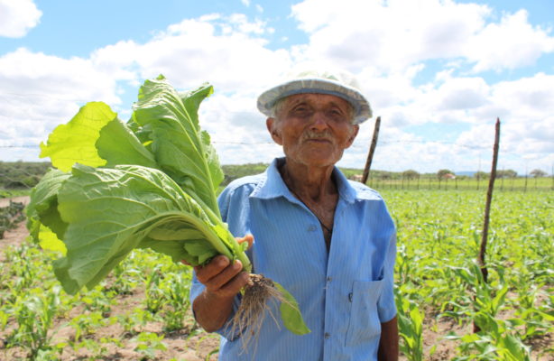 thumbnail de Projeto de Segurança Alimentar é notícia na TV Globo Nordeste